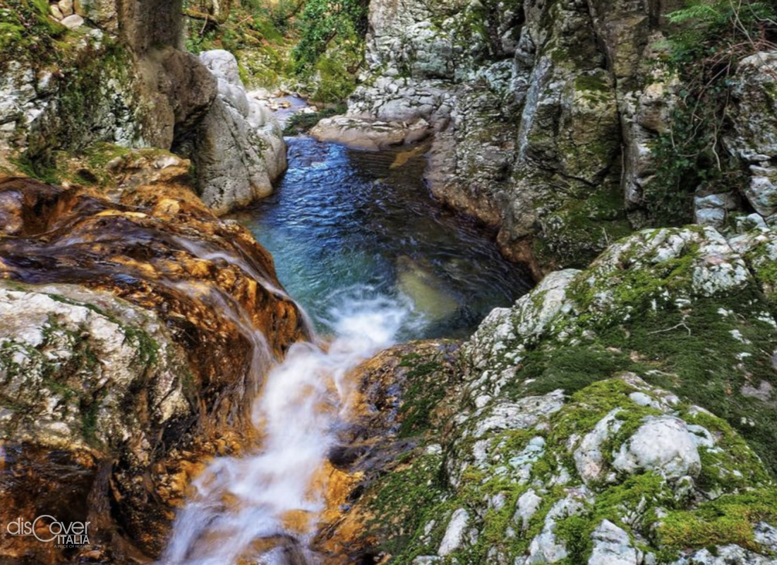 fiume tammaro copertina