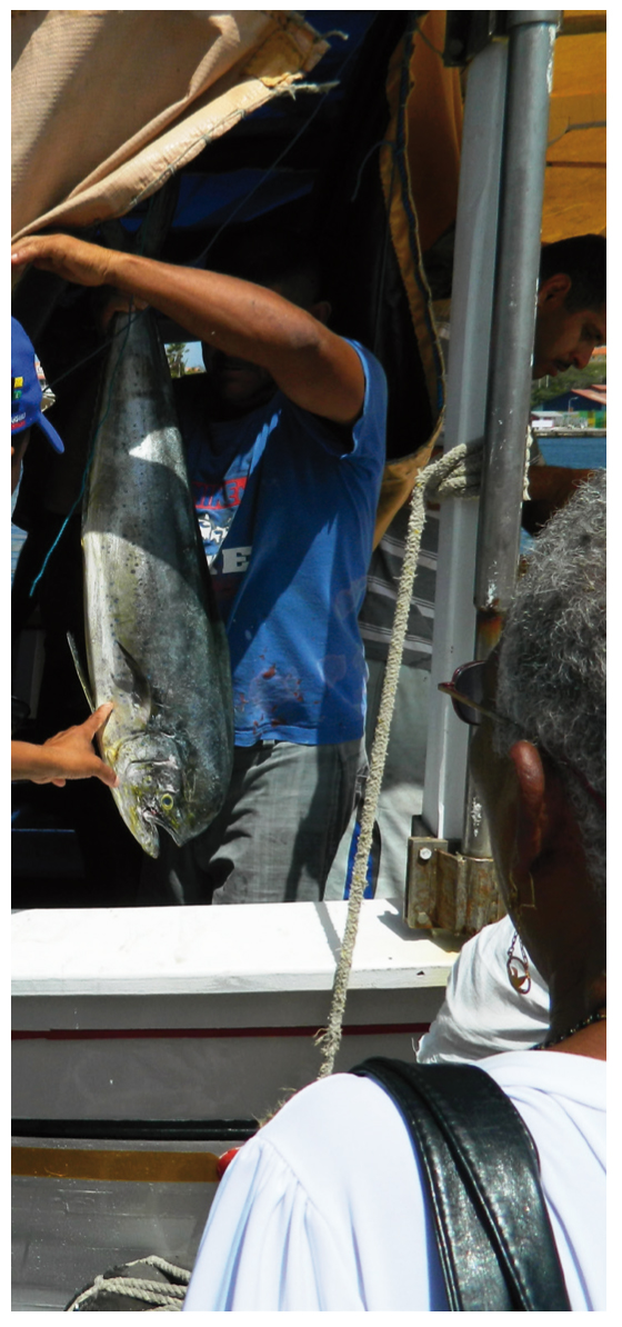 ESOTICA. Lampuga pescata a Curacao