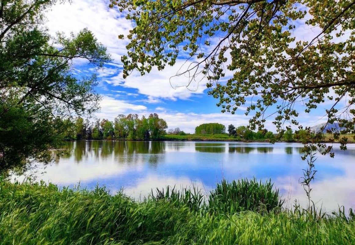 lago falciano